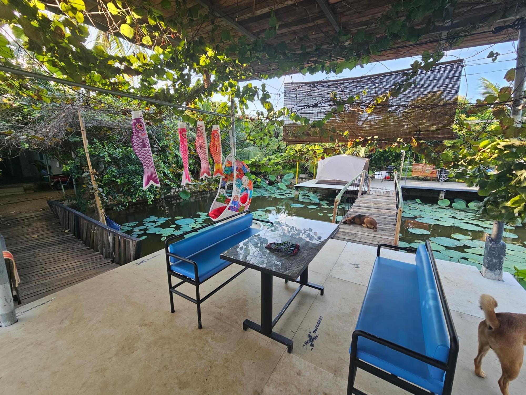 Homestay Sen&Zen Villa Vũng Tàu Ngoại thất bức ảnh