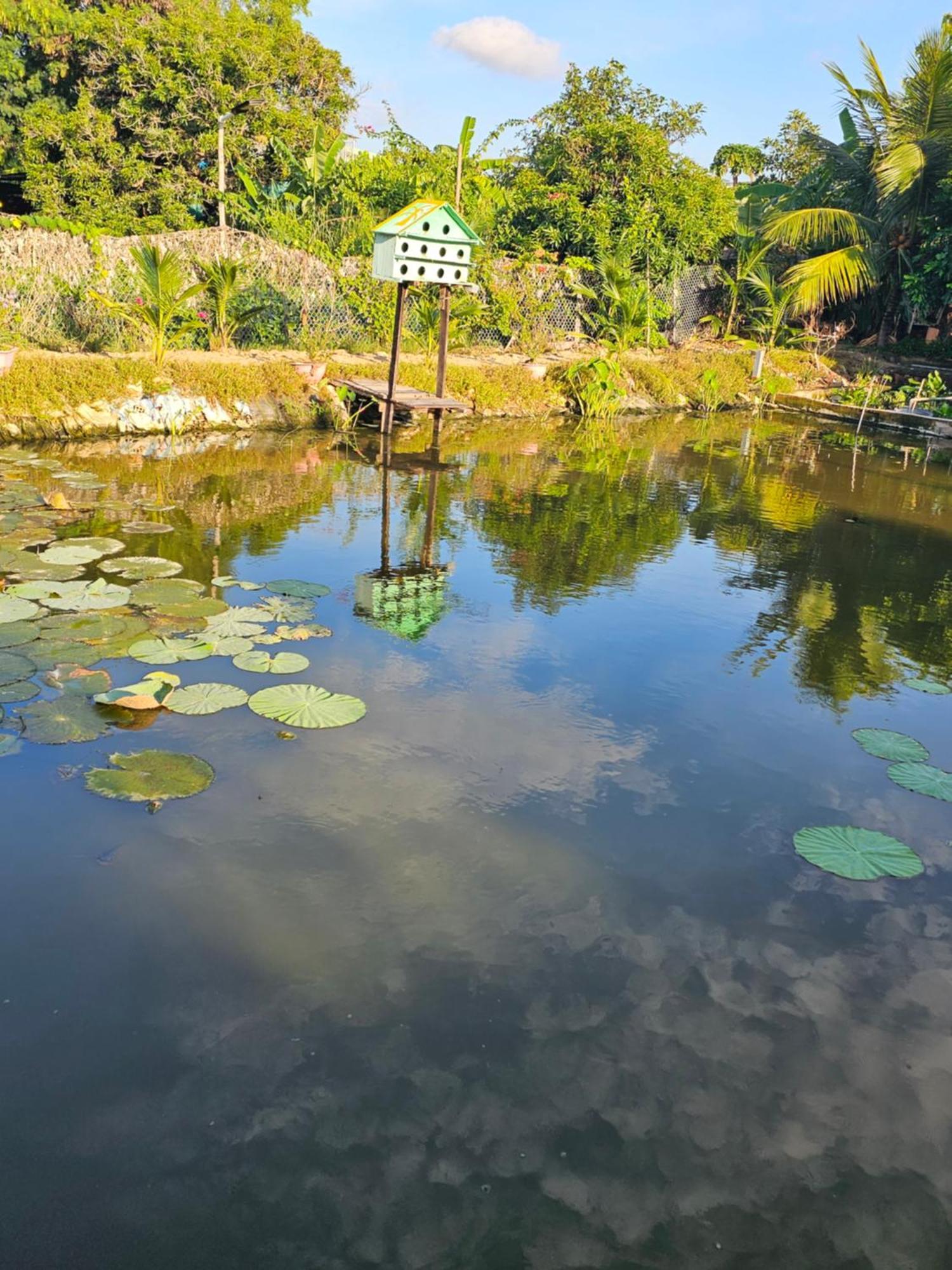 Homestay Sen&Zen Villa Vũng Tàu Ngoại thất bức ảnh