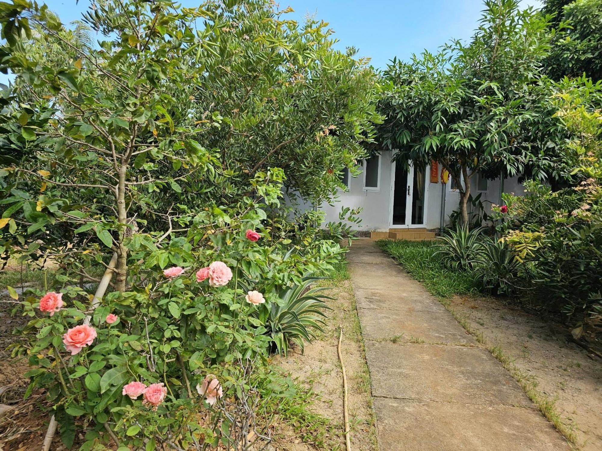 Homestay Sen&Zen Villa Vũng Tàu Ngoại thất bức ảnh